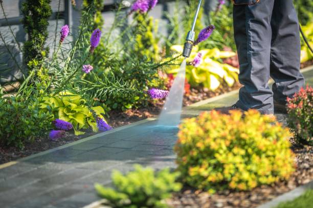 Best Winterizing Services  in Tonkawa, OK